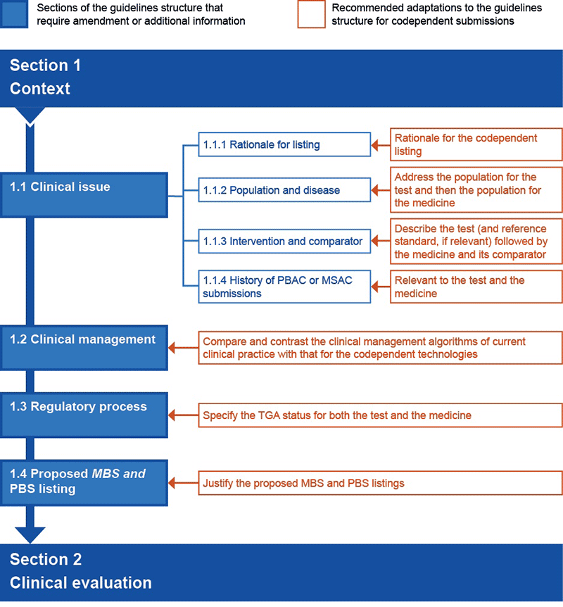 Figure P4.2 Preferred structure of an integrated codependent submission for Section 1