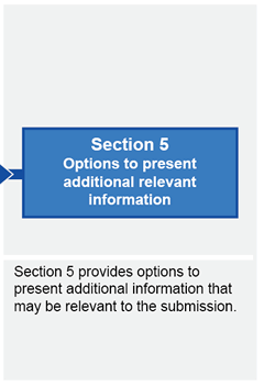 Section 5 Options to present additional relevant information